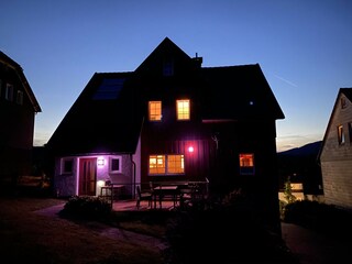 Gartenansicht bei Abendlicht