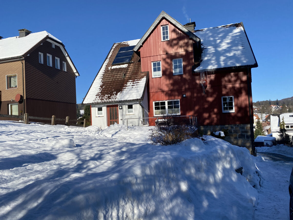 Gartenansicht im Winter