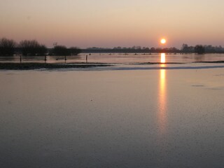Meadows at the lake in winter
