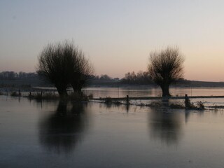 Beim Fuchsberg im Januar