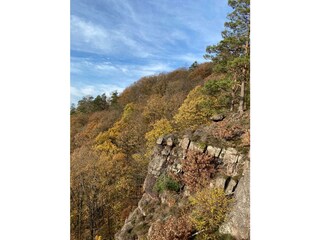 Sandsteinfelsen bei Nideggen im Herbst