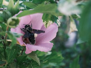 Appartamento per vacanze Tremosine sul Garda Registrazione all'aperto 13