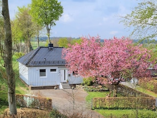 Haus Vorderansicht