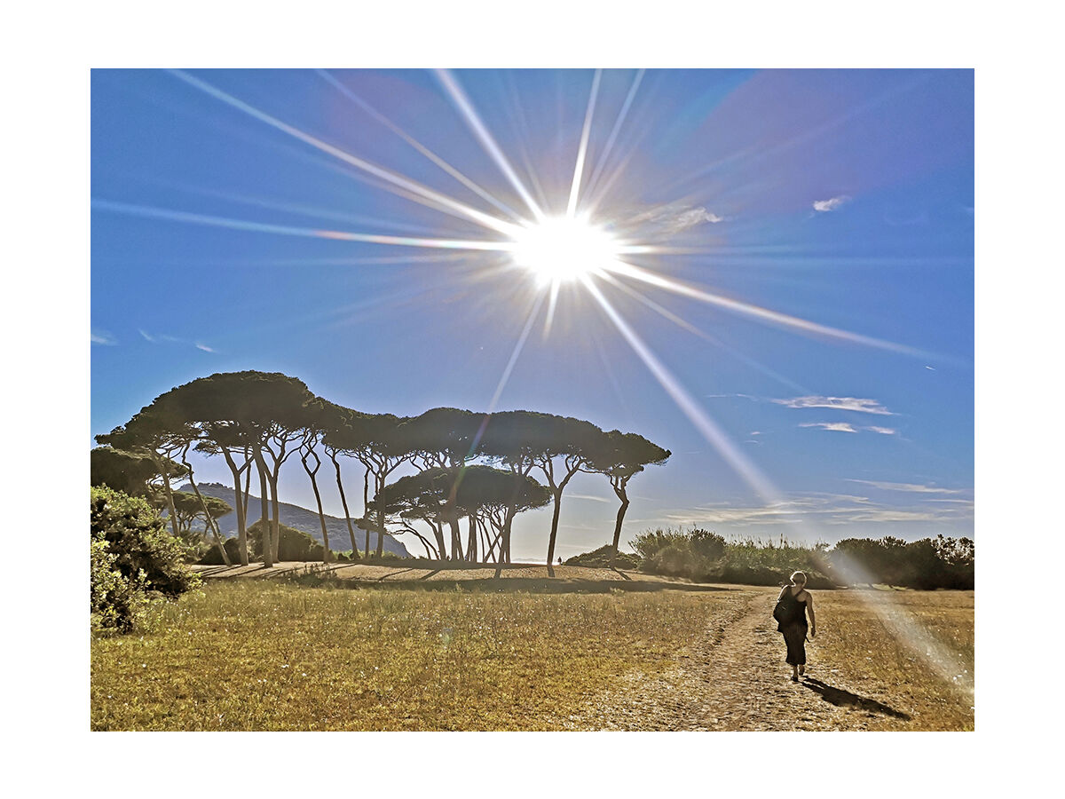 Golf  von Baratti