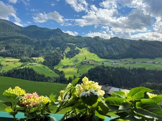 Balkonblick von Top3