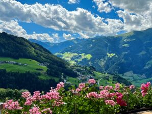 Ap./Wohn-Schlafraum/1 Schlafraum/Du,WC 2-4