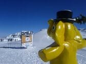 Skigebiet Zillertal Arena