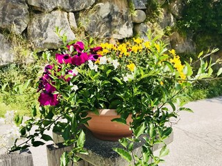 Einfahrt Landhaus Höllwarth ,