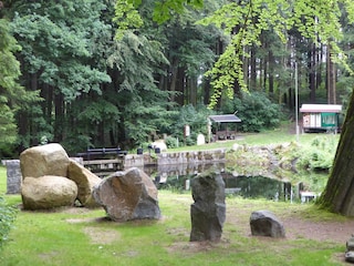 Ferienwohnung Ringenhain Umgebung 25