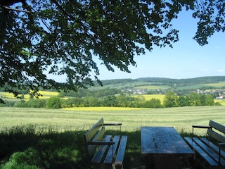 Ferienwohnung Ringenhain Umgebung 15