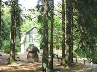 Ferienwohnung Ringenhain Umgebung 19