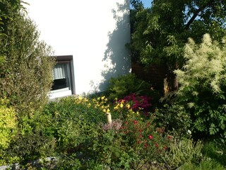 Ferienwohnung Ringenhain Außenaufnahme 7