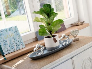 Appartement Grundlsee Buitenaudio-opname 12