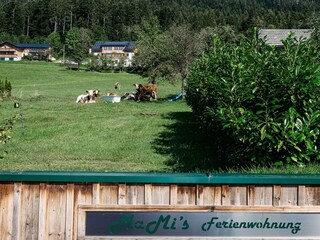 Apartamento Grundlsee Grabación al aire libre 14