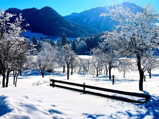 Appartement Grundlsee Buitenaudio-opname 37