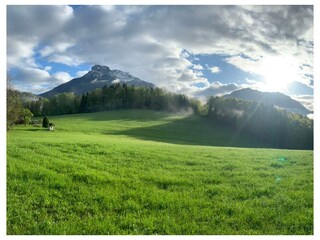 Casa de vacaciones Altaussee Grabación al aire libre 13