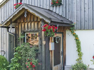 Appartement Altaussee Buitenaudio-opname 19