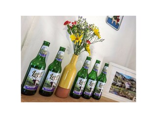 Casa per le vacanze Altaussee Caratteristiche 38