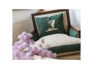 Casa per le vacanze Bad Aussee Caratteristiche 12