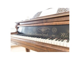 Appartamento Bad Aussee Caratteristiche 20