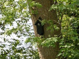 Ferienwohnung Giethoorn Umgebung 19