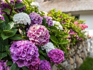 Casa per le vacanze Keitum Registrazione all'aperto 16