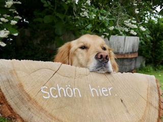 Garten (EifelBleibe 2)