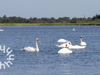 Casa per le vacanze Giethoorn Ambiente 25