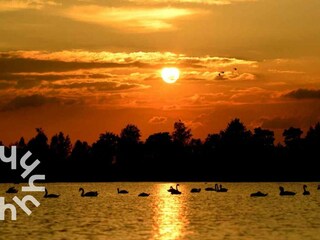 Holiday house Giethoorn Environment 26