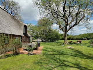 Blick nach Nord-Osten