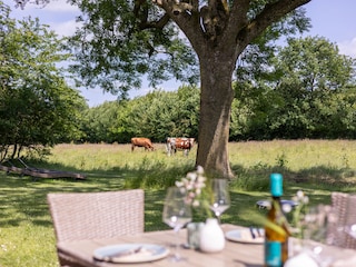 Ferienhaus Havetoftloit Außenaufnahme 9