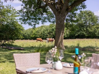 Holiday house Havetoftloit Outdoor Recording 9