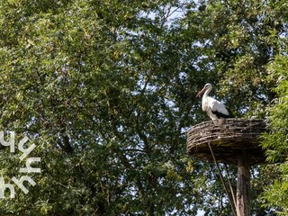 Holiday house Giethoorn Environment 28