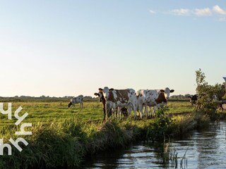 Vakantiehuis Giethoorn Omgeving 29