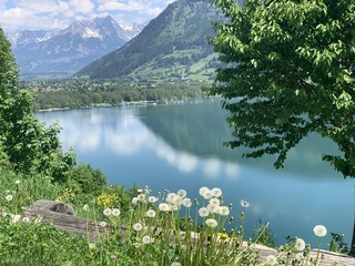 Appartamento per vacanze Zell am See - Kaprun Registrazione all'aperto 7