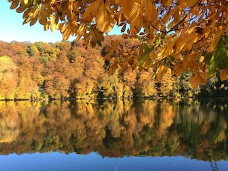 Maar im Herbst