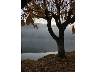 Maar im Nebel