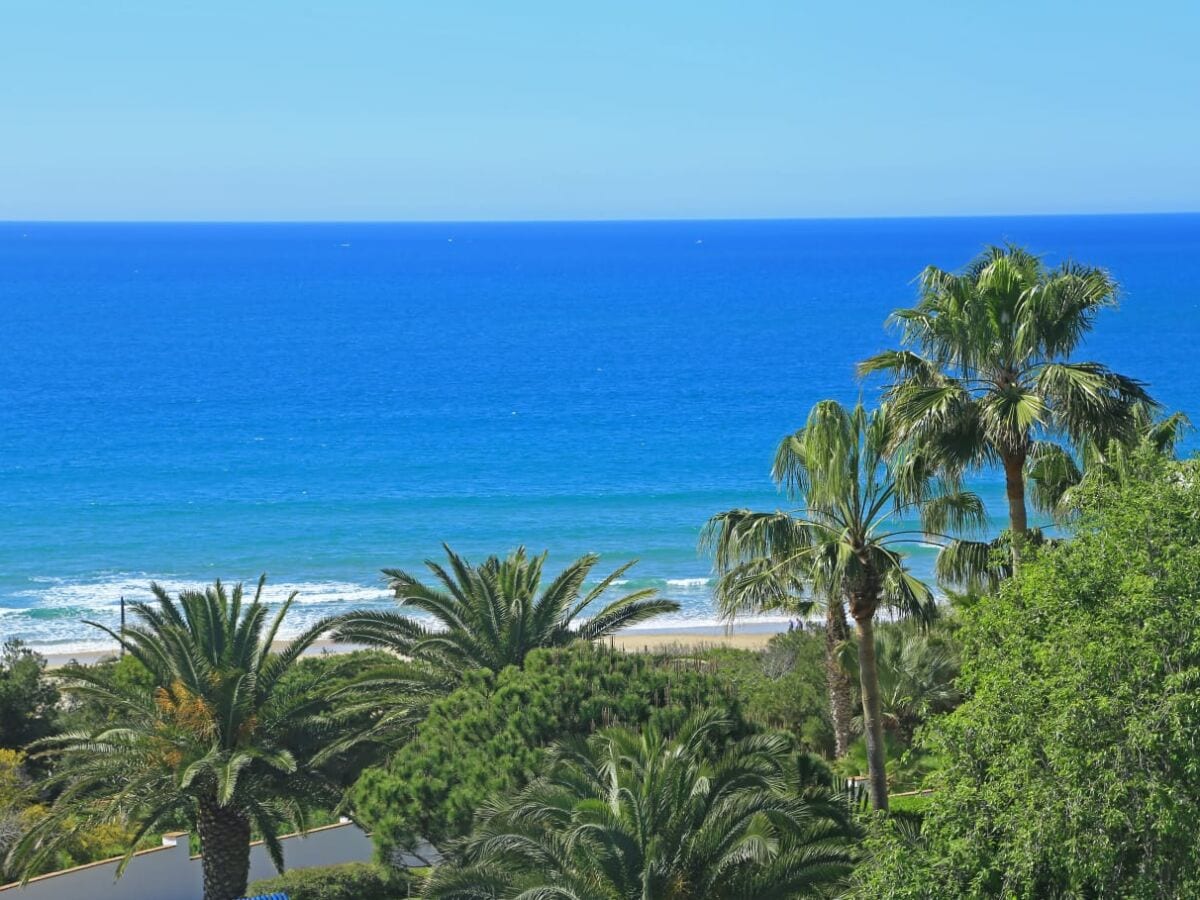 Blick von der Dachterrasse/Strand