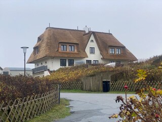 neues Reetdach 2024 Hausansicht Süd-Westseite