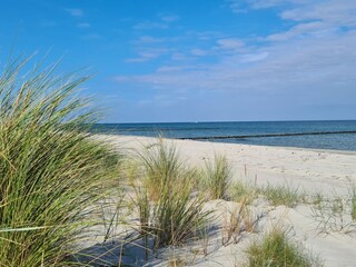 Apartamento de vacaciones Zingst Entorno 28