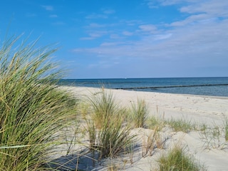 Holiday apartment Zingst Environment 28
