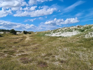 Holiday apartment Zingst Environment 29