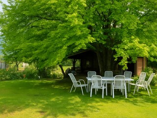 Unter dem japanischen Kuchenbaum