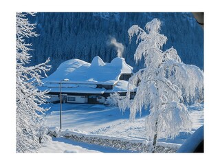 Blick auf die Eissporthalle