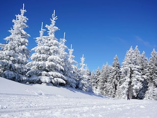 Traumhafte Winterlandschaft