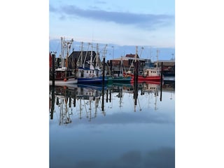 Krabbenkutterhafen in Fedderwardersiel