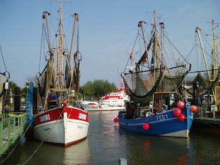Krabbenkutter im Hafen