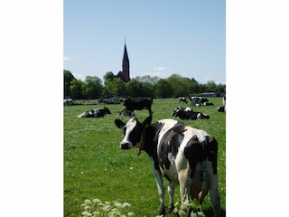 "Mehrheitsbewohner" in Butjadingen