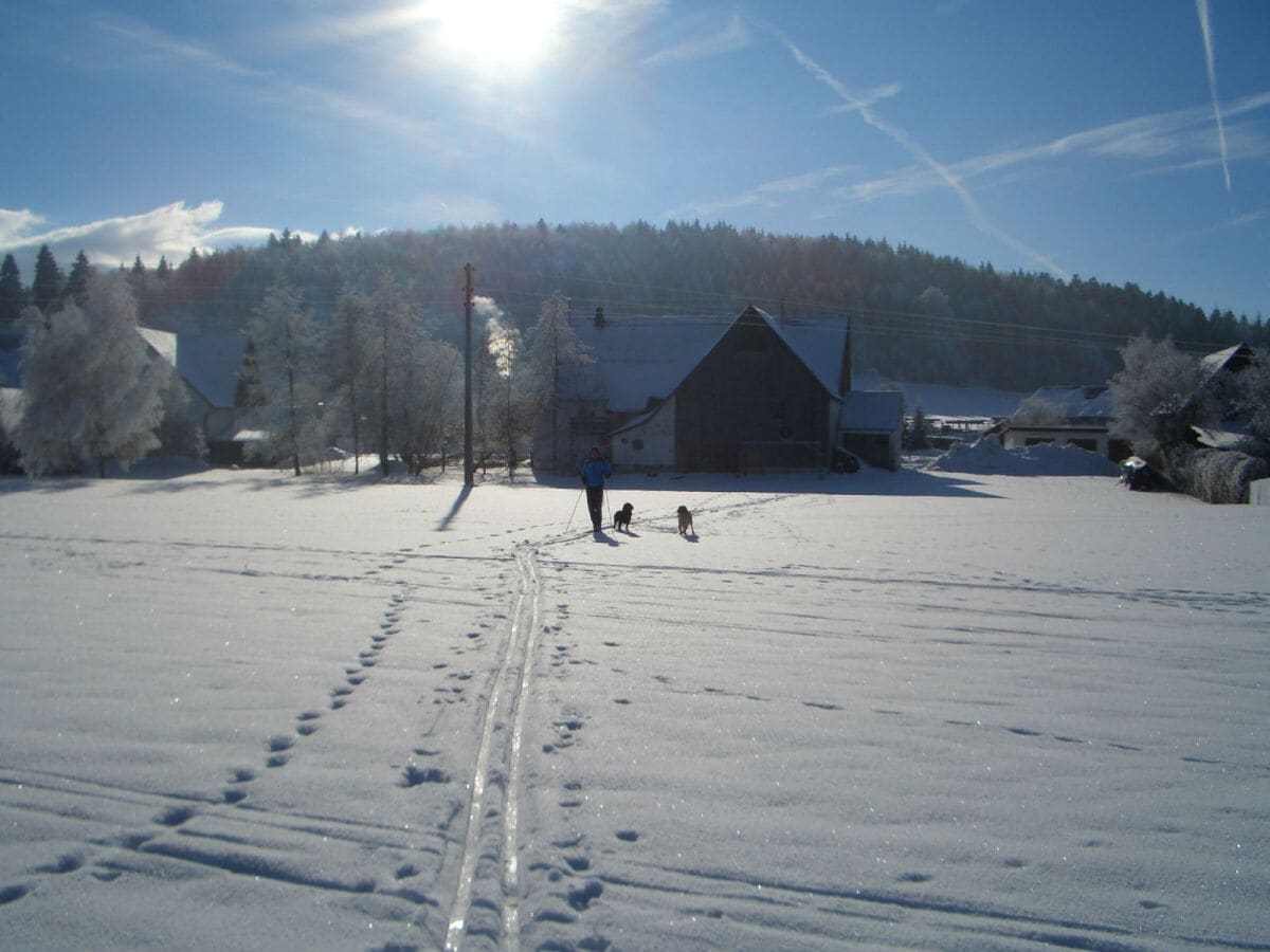 Langlauf beginnt hinterm Haus