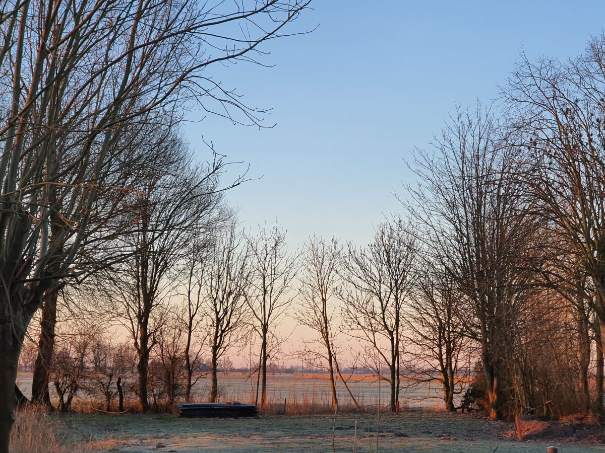 Blick in den Garten